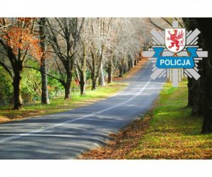 prosty odcinek drogi wśród drzew, na poboczach leży duża ilość liści koloru pomarańczowego oraz brązowego (aura jesienna)